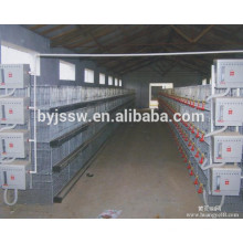 commercial chicken cages / broiler chicken cage / design for chicken coop